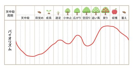 四柱推命 大運表|【四柱推命】一生の運勢（バイオリズム/グラフ）【。